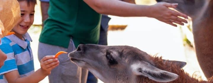 10 leuke natuurparken en dierentuinen in Italië