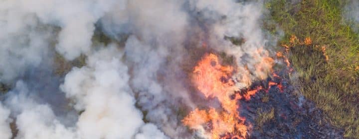 Wat doen bij bosbrand in Frankrijk? Tips voor kamperende gezinnen 