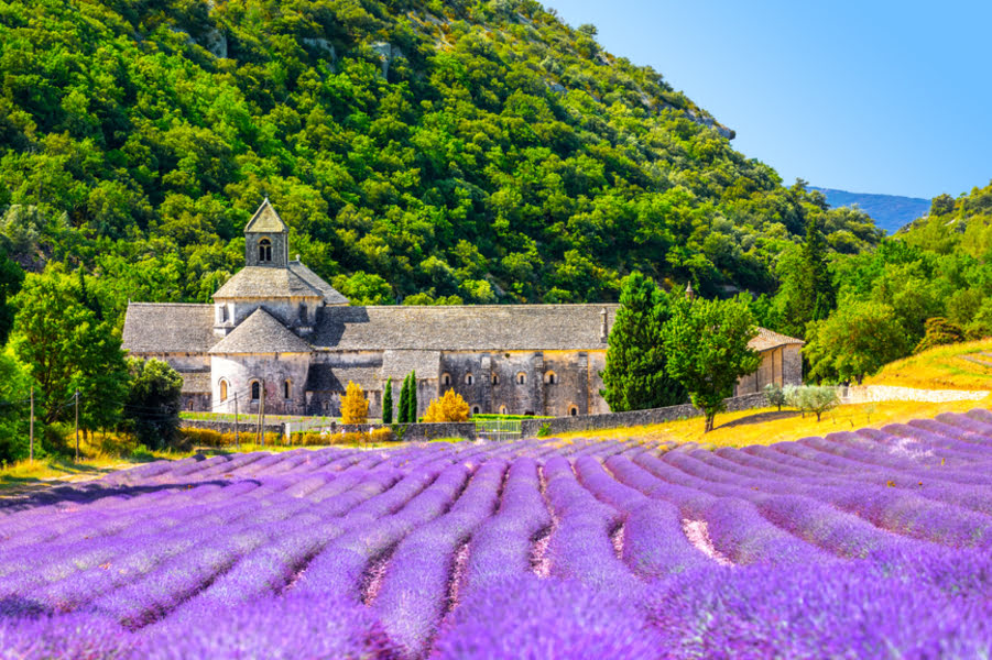 uitzicht op de L’Abbaye Notre-Dame de Sénanque met een lavendelveld op de voorgrond