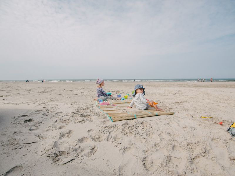 Strand Blavand Denemarken