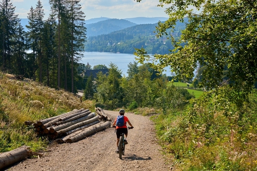 mountainbiker fietst over een bospad met bergen en een meer op de achtergrond