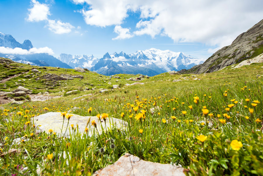 groene velden met besneeuwde bergtoppen op de achtergrond