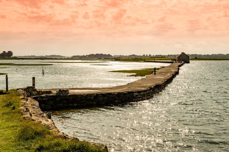 een houten wandelpad over het water