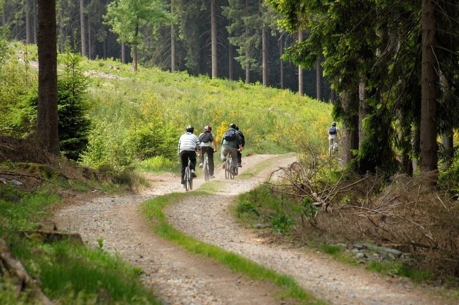 een groep mountainbikers op een bospad