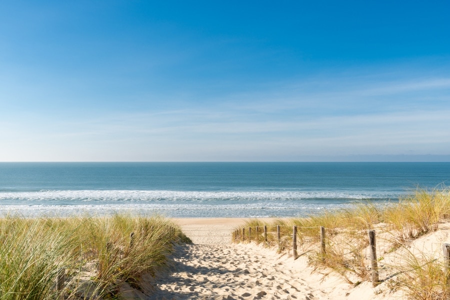 duinen, strand en zee